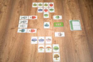 Arboretum, 7 mejores juegos de mesa para jugar en primavera